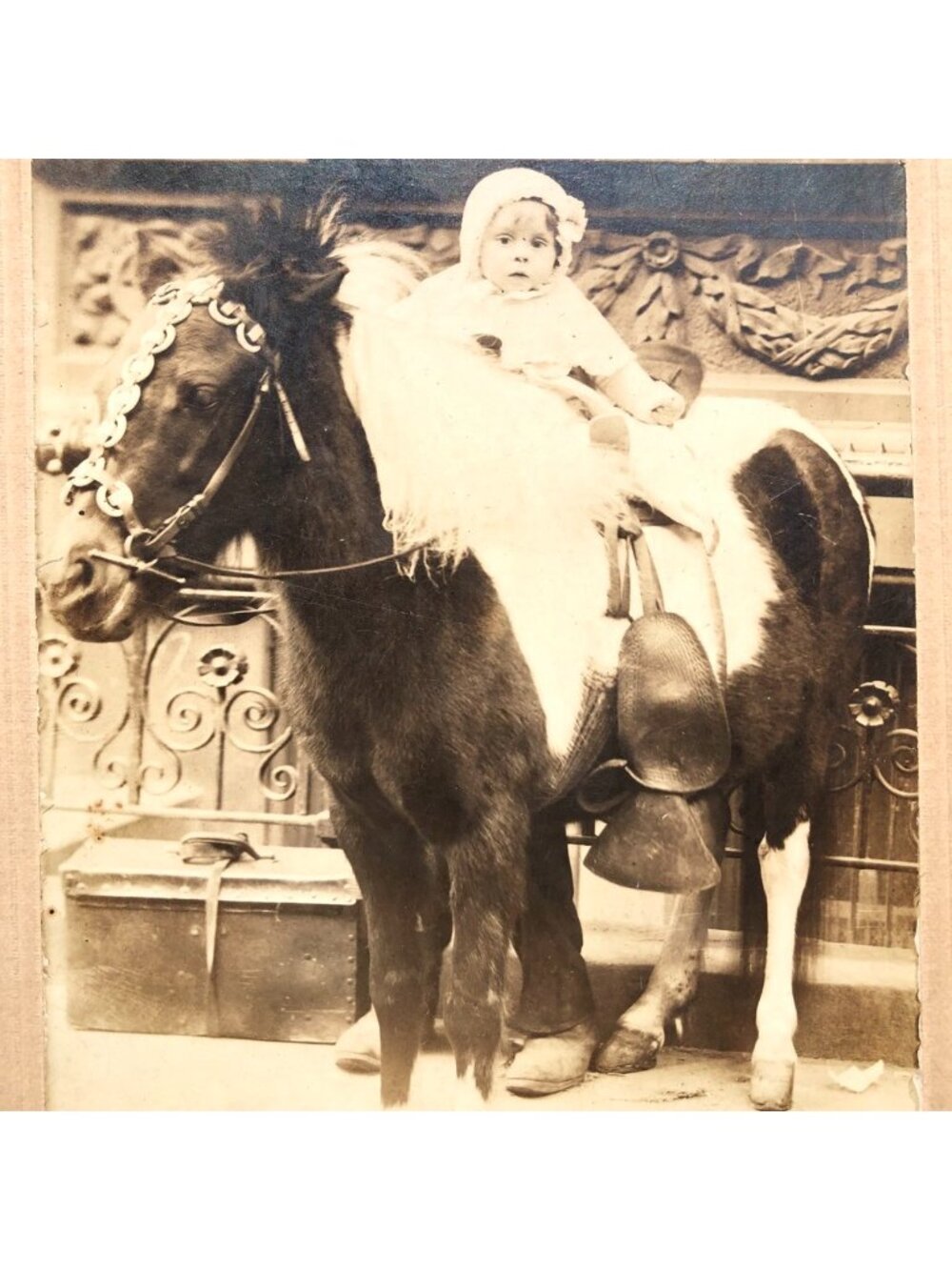 Vintage Photo Child on Shetland Pony Mounted Photograph Aunt Evelyn early 1900s